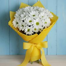 Букет цветов из:  Хризантемы в Актаныш