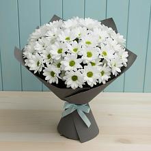 Букет цветов из:  Хризантемы в Актаныш