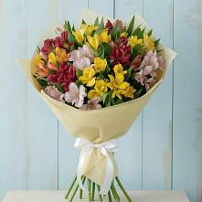 Букет цветов из:  Альстромерии #REPLACE_PRED# Актаныш