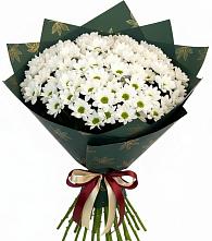 Букет цветов из:  Хризантемы #REPLACE_PRED# Актаныш