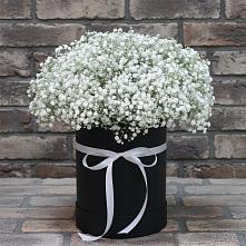 Цветочная композиция из Гипсофила в шляпной коробке в Актаныш