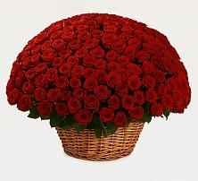 Премиум букет из: Розы в Актаныш