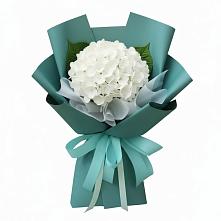 Букет цветов из:  Гортензия в Актаныш